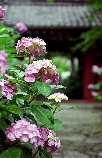 d0001533_18175090.jpg