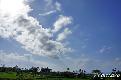a0136036_19455963.jpg