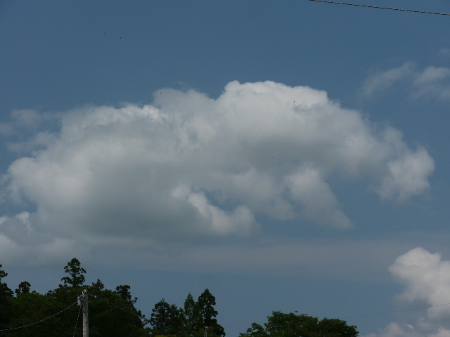 b0190242_231676.jpg