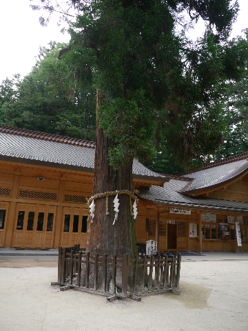 b0190242_23351350.jpg