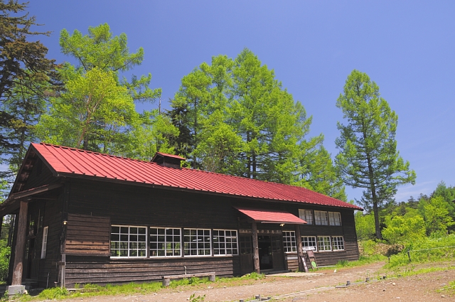b0122448_12552487.jpg