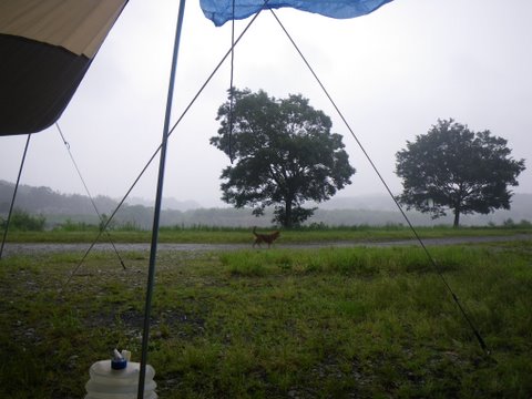 f0046250_18184421.jpg