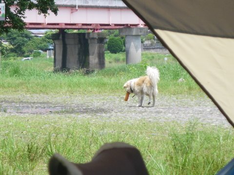 f0046250_18501779.jpg