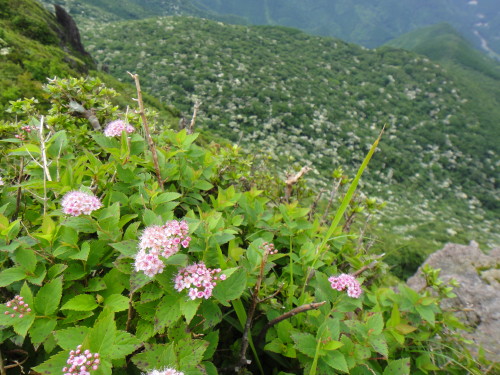 c0179351_17104256.jpg
