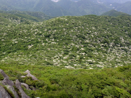 c0179351_17113272.jpg