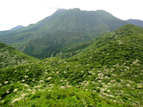 c0179351_17121211.jpg