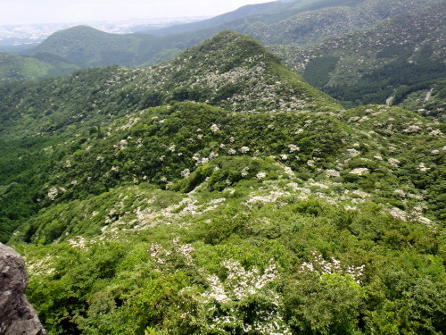 c0179351_17124261.jpg