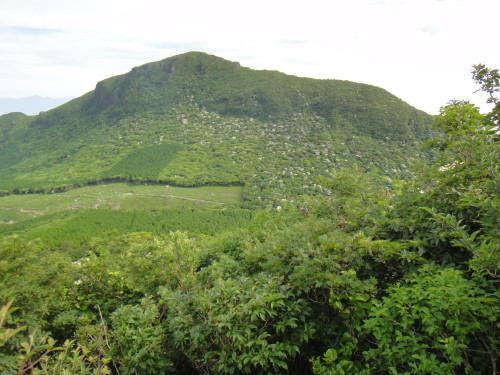 c0179351_173595.jpg