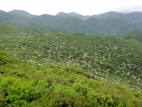 c0179351_1783229.jpg
