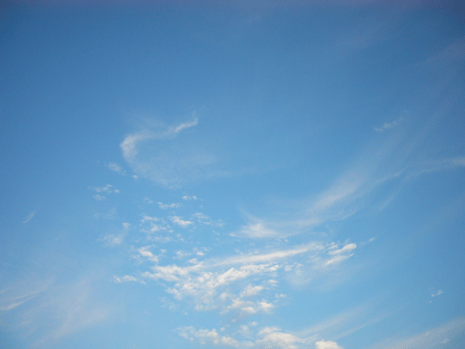 c0225153_2156351.gif