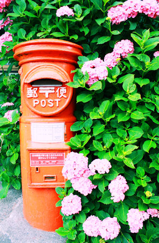 a0154957_11212999.jpg