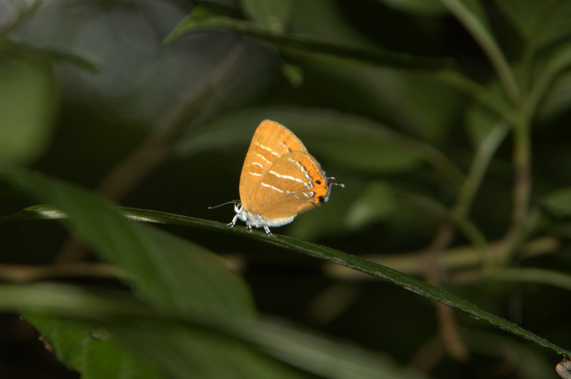 d0098057_9544422.jpg