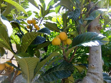 c0097558_22202974.jpg