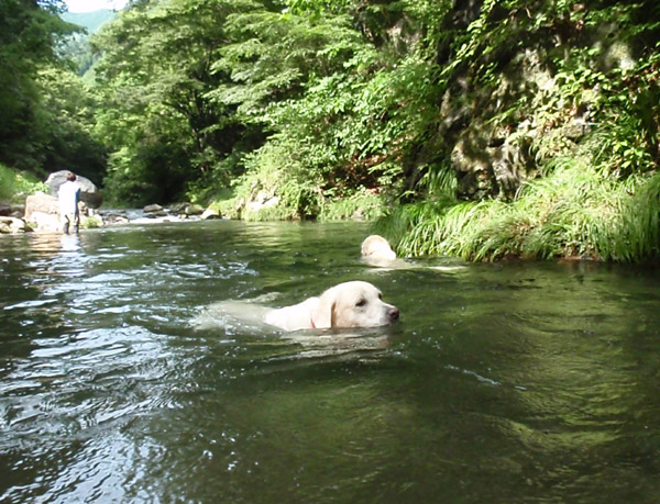 c0110361_15243211.jpg