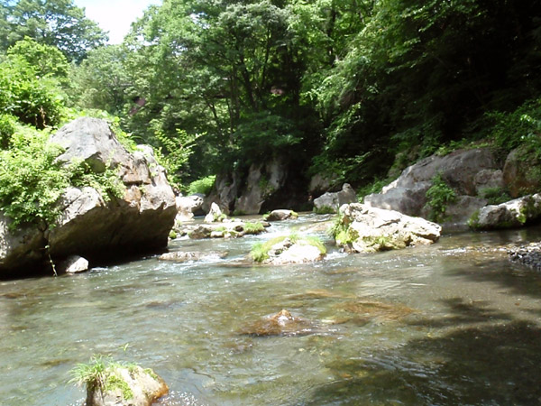 c0110361_158372.jpg