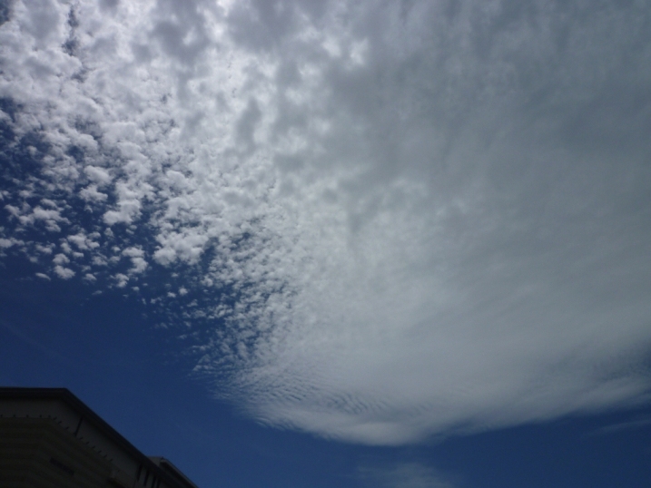 f0020564_1424076.jpg