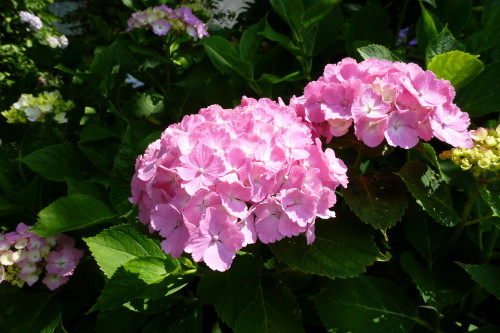 e0094589_20402927.jpg