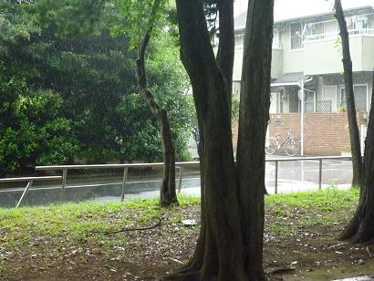 c0123890_201175.jpg
