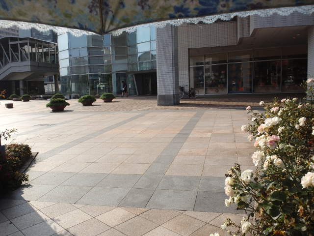 f0077595_1251970.jpg