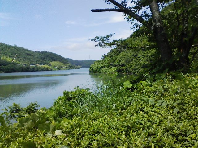 d0055397_5423843.jpg