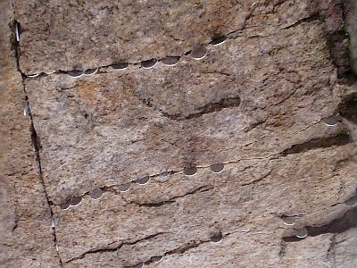 c0110906_024476.jpg
