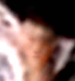 e0103408_1641247.jpg