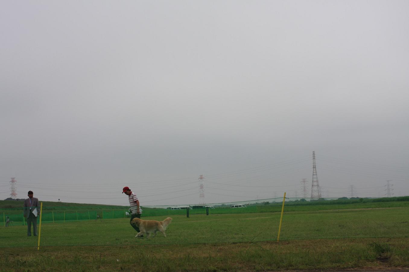 d0150309_205220.jpg