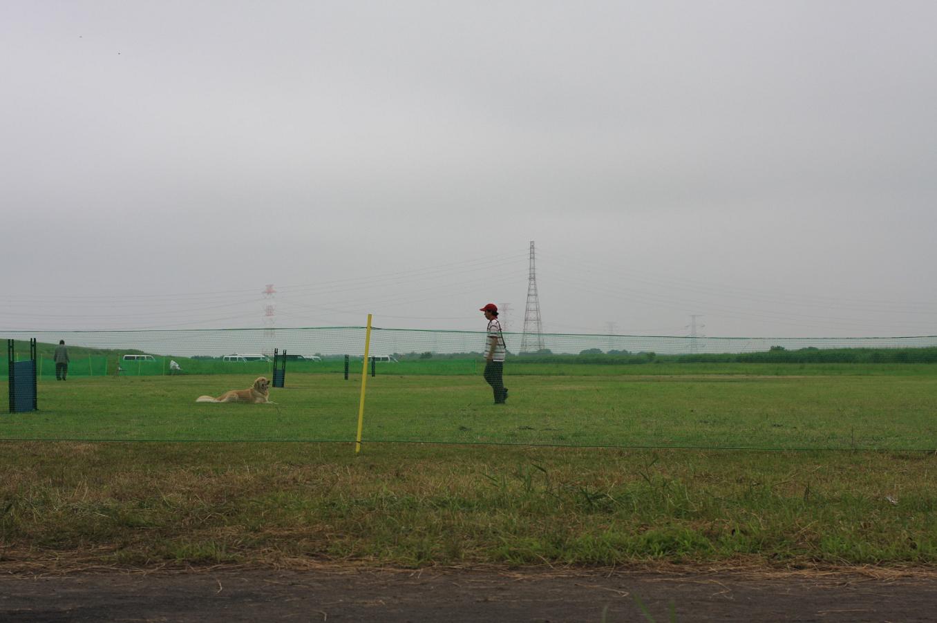 d0150309_2072461.jpg