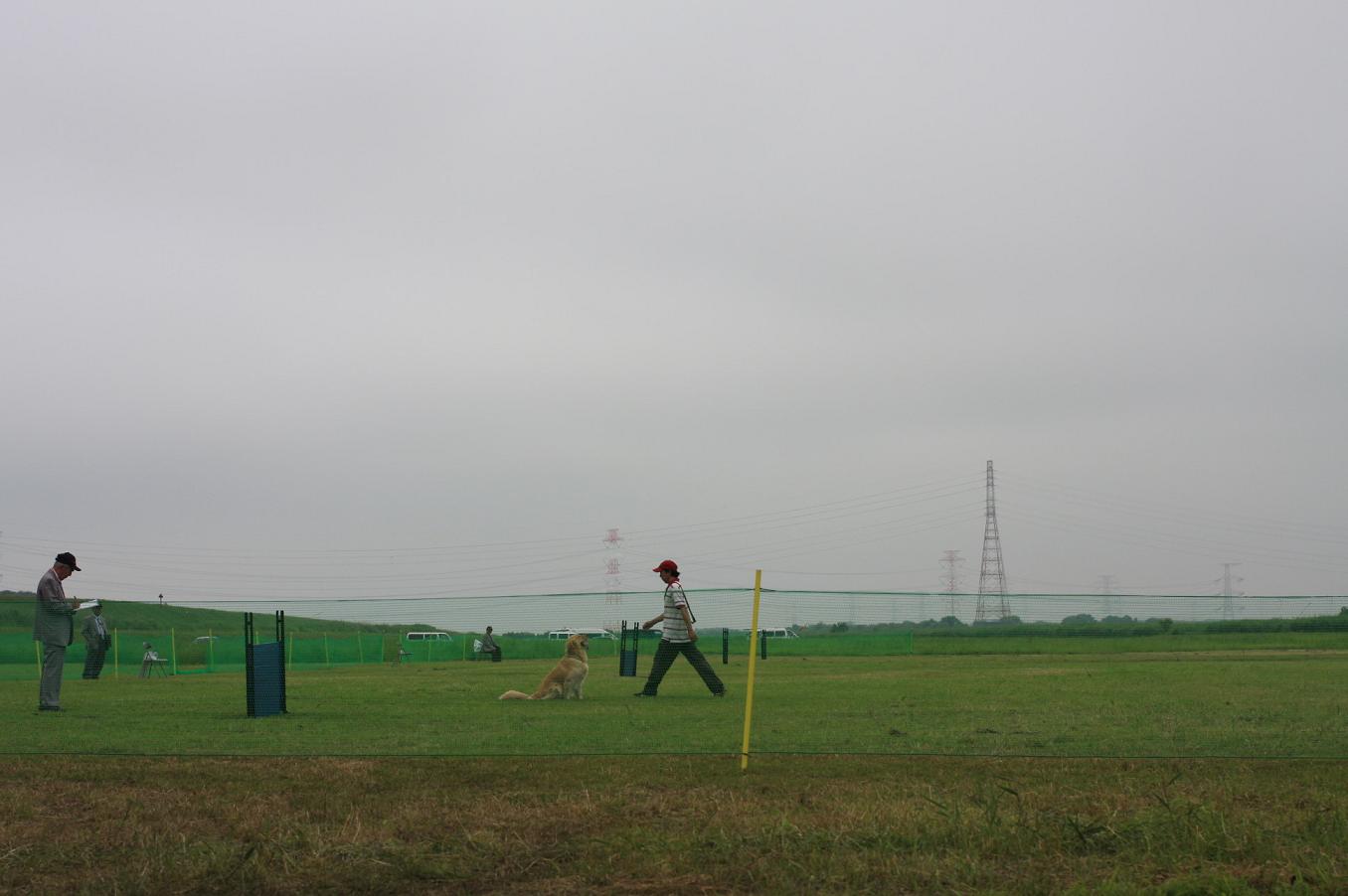 d0150309_2082470.jpg