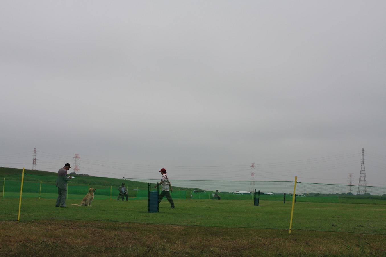 d0150309_209245.jpg