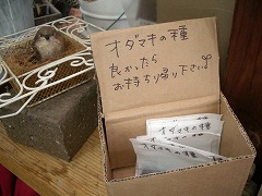 c0190010_20294567.jpg