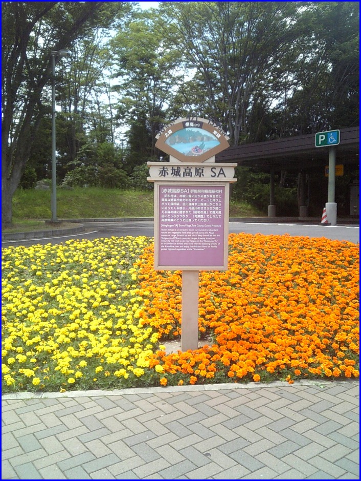 c0035912_13472089.jpg