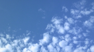 d0150013_710598.jpg