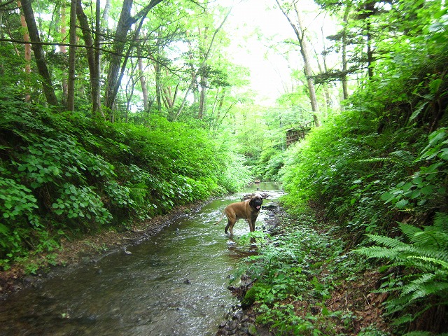 e0192217_10272868.jpg