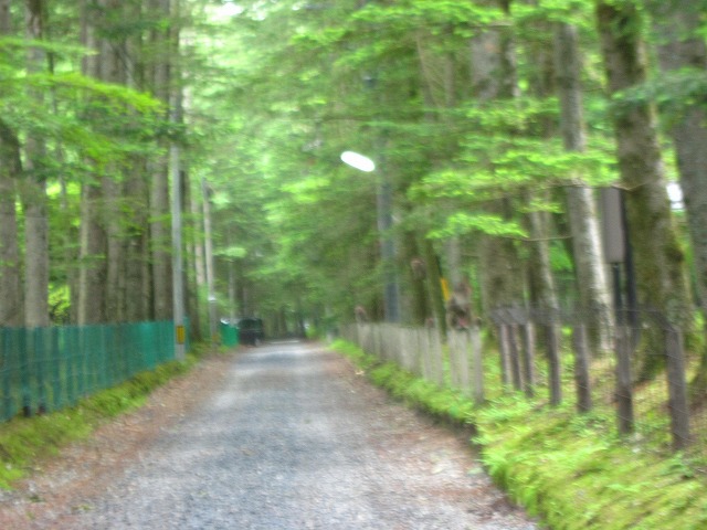 e0192217_10283460.jpg