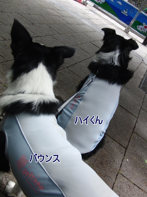 e0179321_16341478.jpg