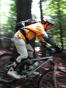 d0023725_0121816.jpg