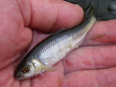c0202727_2025371.jpg