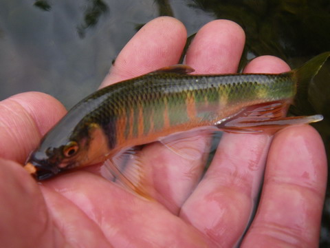 c0202727_2030797.jpg