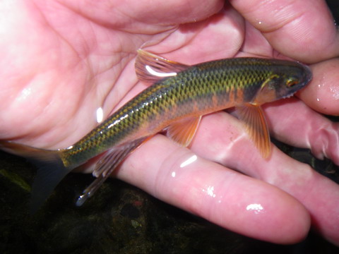 c0202727_2036318.jpg