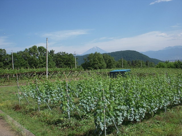 c0114833_9223919.jpg