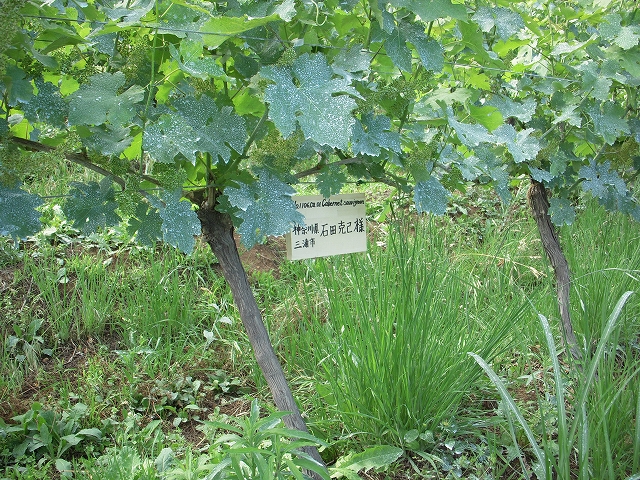 c0114833_934173.jpg