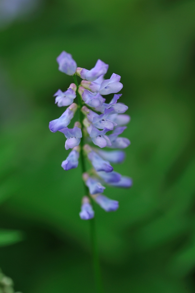 c0221838_1616882.jpg