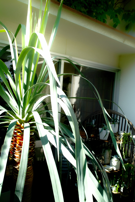 c0227239_125843.jpg