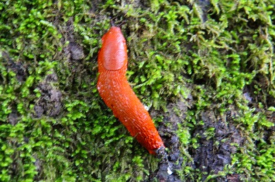 c0153740_3344971.jpg