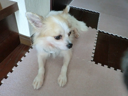 d0169340_1161229.jpg
