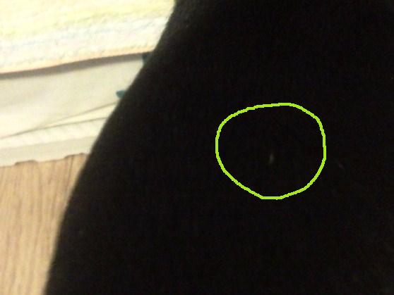 e0150843_2114873.jpg