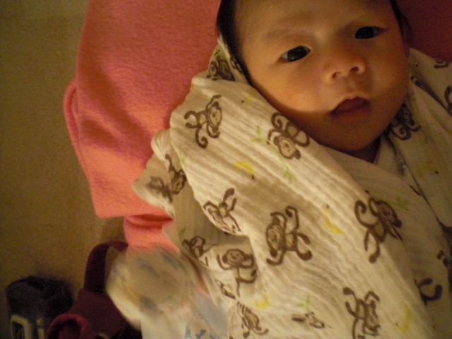 c0157348_106172.jpg