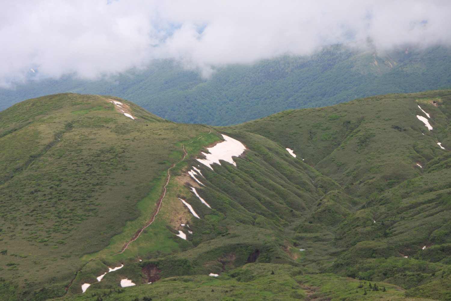 f0013553_23419.jpg