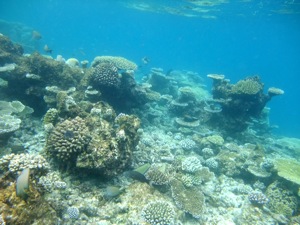 f0190653_17345294.jpg